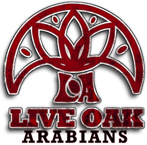 Live Oak Arabians